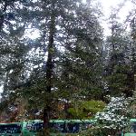 普达措国家森林公园图片 自然风光 风景图片