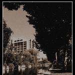 华东师大老照片图片 自然风光 风景图片
