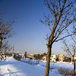 冬至那天天津下了今年第一场雪，也是年来第一次的暴图片 自然风光 风景图片
