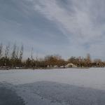 雪与桃花图片 自然风光 风景图片