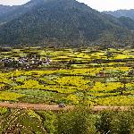 婺源的江岭梯田图片 自然风光 风景图片