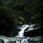 春归婺源之二图片 自然风光 风景图片
