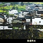初春婺源（二）图片 自然风光 风景图片