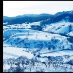 冬天的塞罕坝图片 自然风光 风景图片