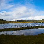 七月西部行之年宝玉则仙女湖（二）图片 自然风光 风景图片