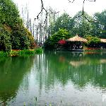 休闲太子湾图片 自然风光 风景图片