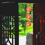 庭园草菁菁图片 自然风光 风景图片