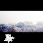 瑞雪兆丰图片 自然风光 风景图片