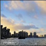 海鸥台风前夕的外滩早晨(续)图片 自然风光 风景图片