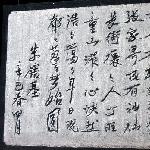 夏——张家界之国家森林公园图片 自然风光 风景图片