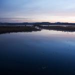 塞罕坝的晨图片 自然风光 风景图片