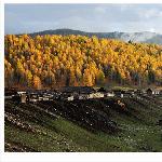 新疆行------禾木图片 自然风光 风景图片
