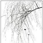 冬日．画意图片 自然风光 风景图片