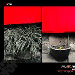 老街印像--（红色记忆）续图片 自然风光 风景图片