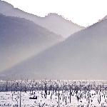 霞浦的晨图片 自然风光 风景图片