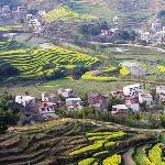 多彩的春天图片 自然风光 风景图片