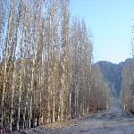 天山（二）图片 自然风光 风景图片