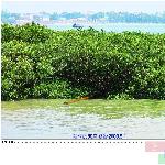 美丽的特呈岛(五)图片 自然风光 风景图片