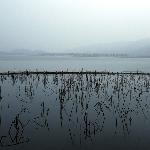 I also went to Hangzhou图片 自然风光 风景图片