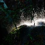 《雨林深处》图片 自然风光 风景图片