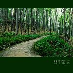翡翠清舞图片 自然风光 风景图片