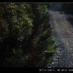 路----通向何方图片 自然风光 风景图片