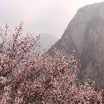西安之旅--华山图片 自然风光 风景图片