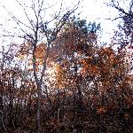 秋日瓦子沟--特写图片 自然风光 风景图片