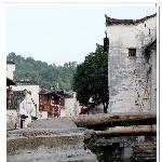 婺源 - 路图片 自然风光 风景图片