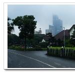 雨天随拍图片 自然风光 风景图片