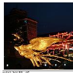 凤凰夜景图片 自然风光 风景图片