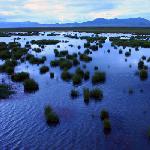 梦幻之湖-四川若尔盖湿地保护区图片 自然风光 风景图片