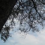 麓湖公園外拍 之 風景篇+拍攝花絮图片 自然风光 风景图片