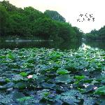 星湖之美。。。。。图片 自然风光 风景图片