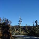 香格里拉原始森林图片 自然风光 风景图片