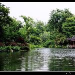 杭州花圃一角图片 自然风光 风景图片