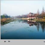 彭园——樱花时节图片 自然风光 风景图片