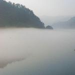 东江春早图片 自然风光 风景图片
