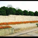 世纪公园立体花展图片 自然风光 风景图片