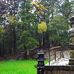 雨游庐山图片 自然风光 风景图片