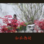 如画西塘图片 自然风光 风景图片