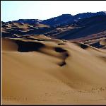 库姆塔格沙漠图片 自然风光 风景图片