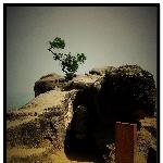 鼓浪屿，匆匆走过（一）图片 自然风光 风景图片