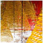 杂粹（九）图片 自然风光 风景图片