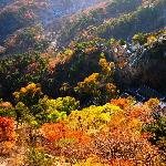 冬游千山图片 自然风光 风景图片