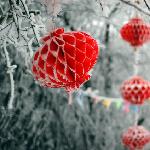 雪里红妆图片 自然风光 风景图片