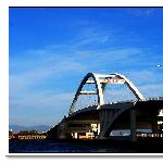 五缘大桥图片 自然风光 风景图片