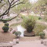 厦大的四季。图片 自然风光 风景图片