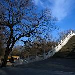桥的印象图片 自然风光 风景图片