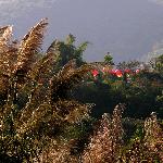 泗华秋色图片 自然风光 风景图片